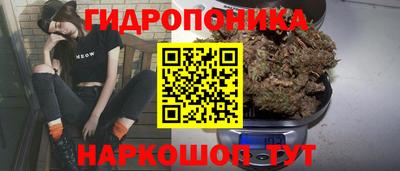 индика Обнинск