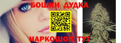 индика Обнинск