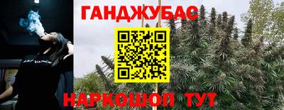 индика Обнинск