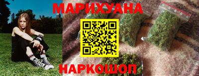индика Обнинск