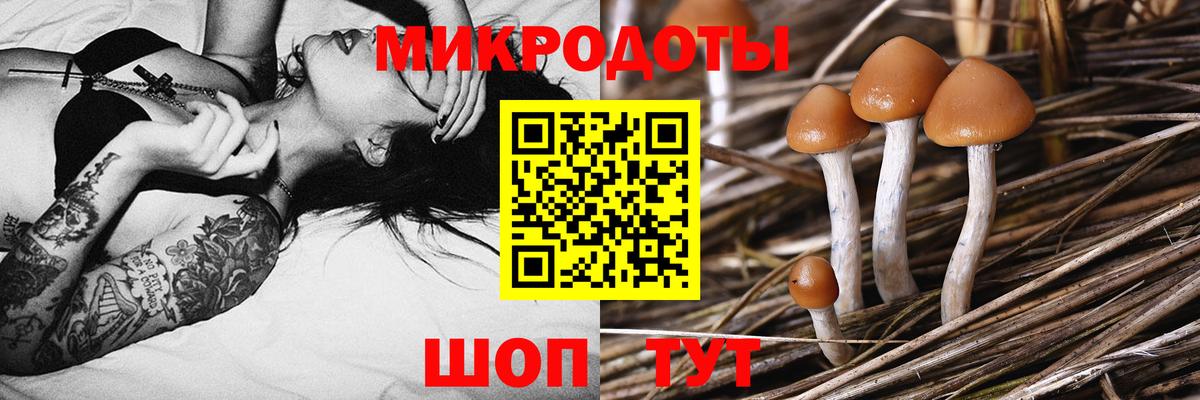 Псилоцибиновые грибы мухоморы  Галлюциногенные грибы ЛСД  Славянск-на-Кубани  Вход с VPN 